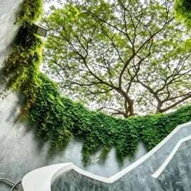 Singapour : visite privée des lieux d'intérêt Instagram en voiture