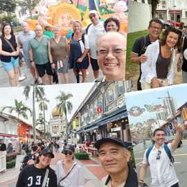Visite guidée à pied de Chinatown, Little India et Arab Street (4 heures)