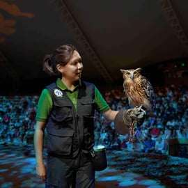 Visite guidée du Night Safari avec prise en charge et retour à l'hôtel