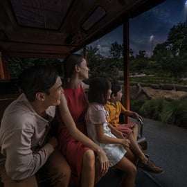 Billet d'entrée pour le safari de nuit avec excursion en tram et transferts partagés