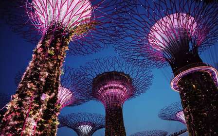 Singapour : Visite privée avec un guide de la région