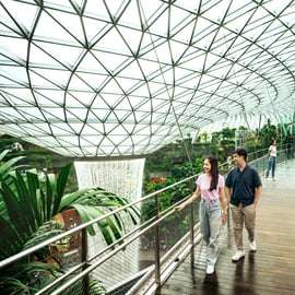 Singapour : billet d'entrée au Canopy Park de l'aéroport Jewel Changi