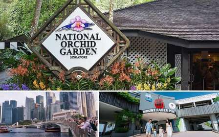 Visite guidée d'une demi-journée avec le Jardin national des orchidées
