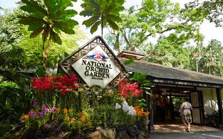Singapour : Entrée au National Orchid Garden