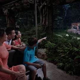 Singapour : billet d'entrée pour le Night Safari avec trajet en tramway