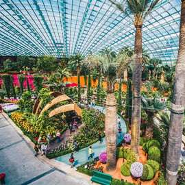 Billets d'entrée pour 2 dômes à Gardens by the Bay et transferts partagés