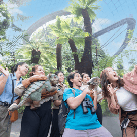 Singapour : Gardens by the Bay billet d'entrée