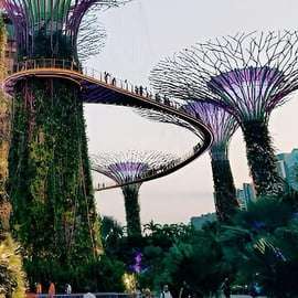 Gardens by the Bay : OCBC Skyway, Flower Dome et Cloud Forest