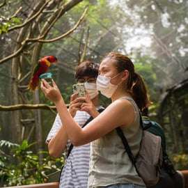 Singapour : billet d'entrée pour le paradis des oiseaux