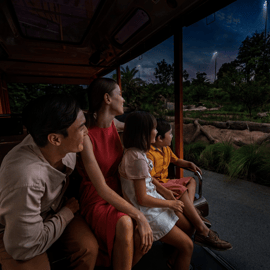 Singapour : billet d'entrée pour le Night Safari avec trajet en tramway