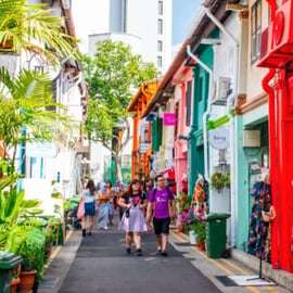 Singapour : visite en bus et à pied des quartiers coloniaux et ethniques