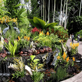 Singapour : Entrée au National Orchid Garden