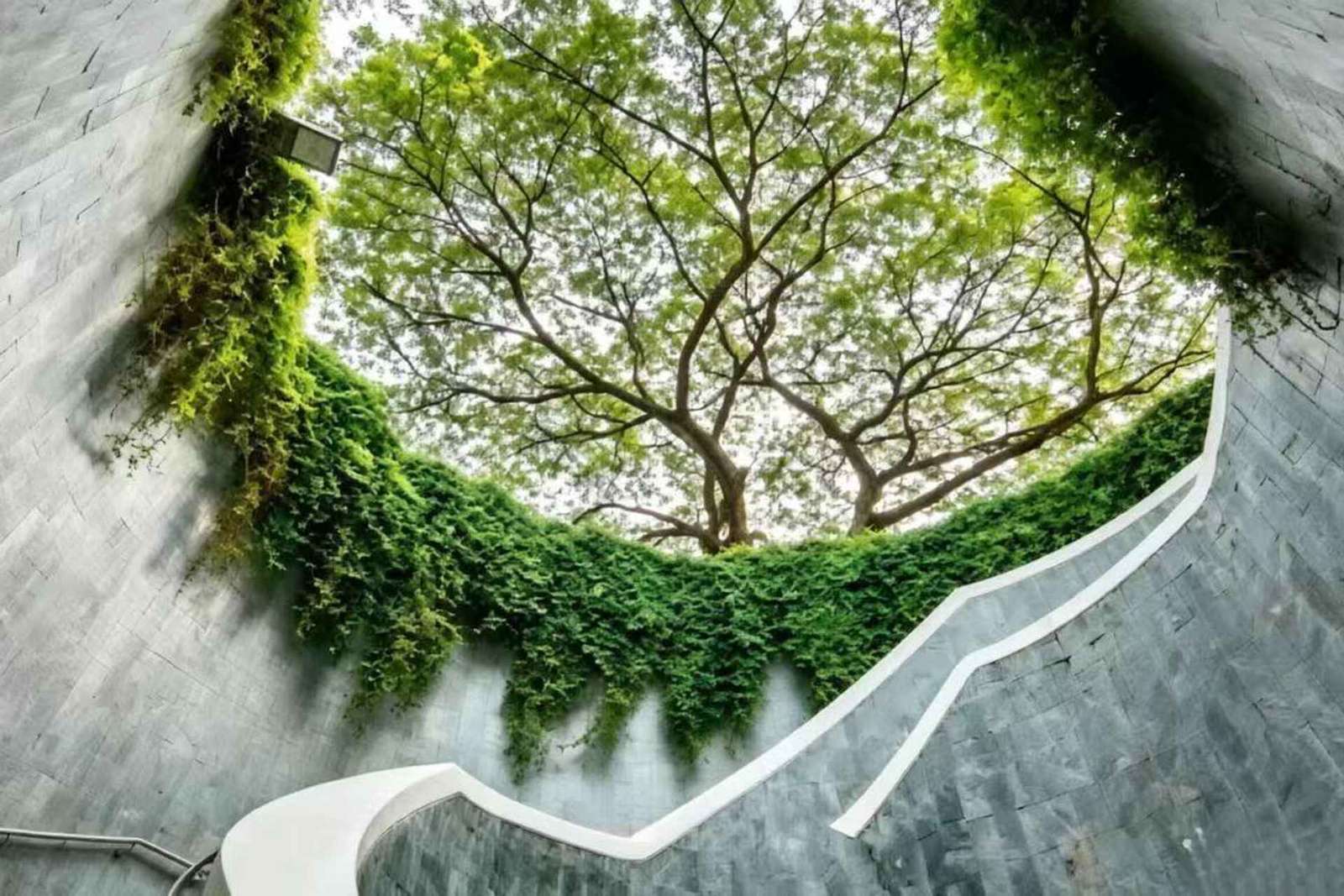 Singapour : visite privée des lieux d'intérêt Instagram en voiture