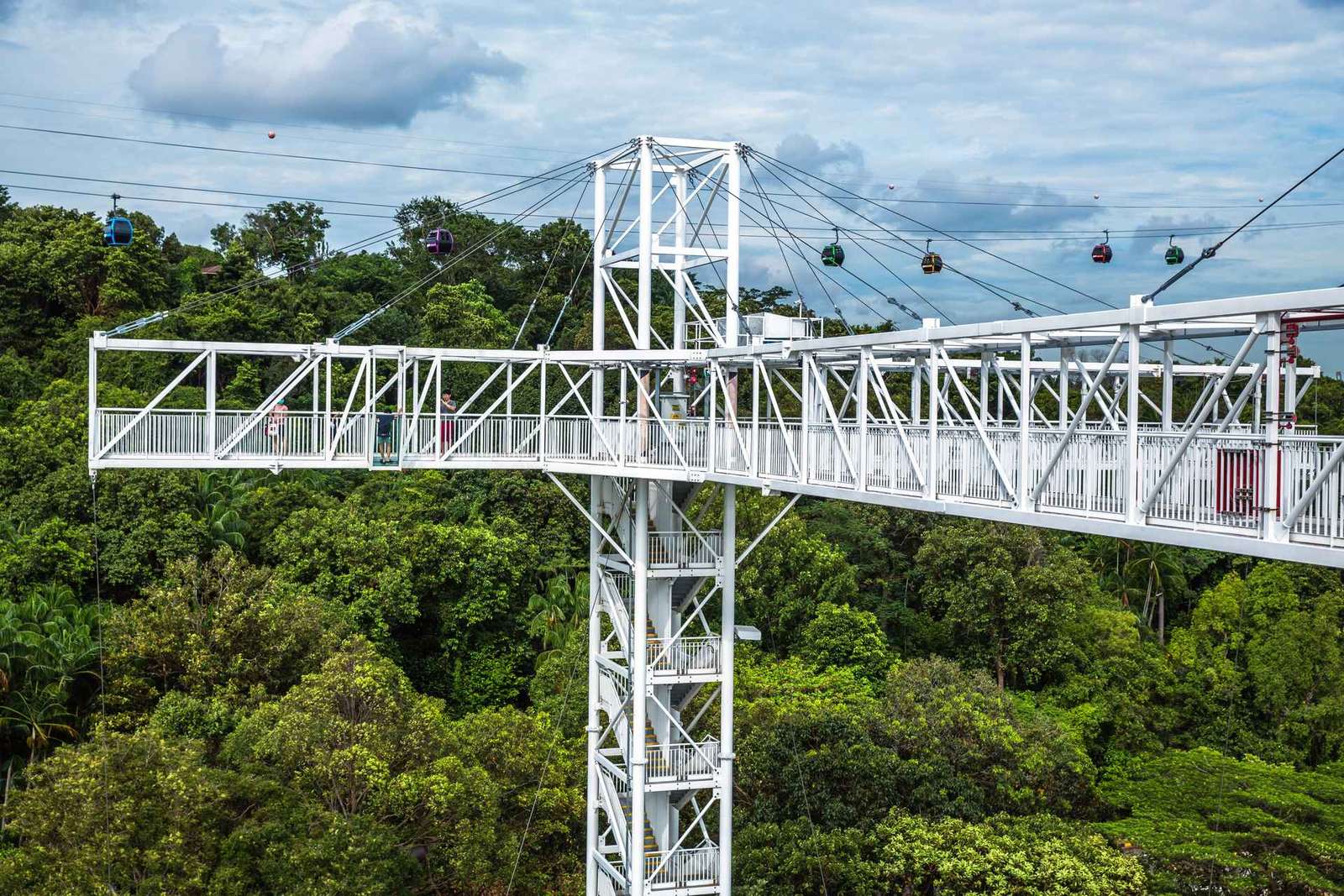 Singapour : billet d'entrée au Skypark Sentosa et activités en option