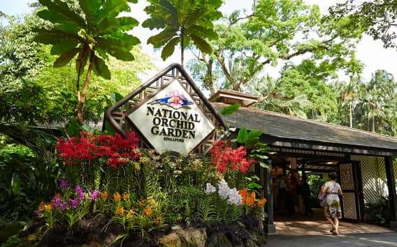 Singapour : Billets d'entrée au National Orchid Garden