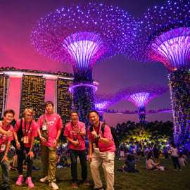 Croisière sur la rivière Singapour, Garden Rhapsody nocturne et spectacle Spectra