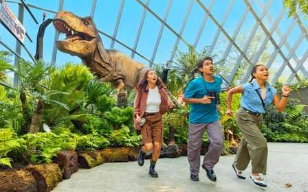 Singapore Gardens by the Bay avec billet d'entrée et prise en charge