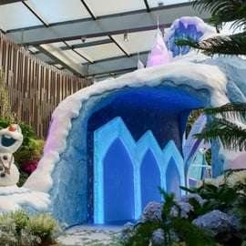Singapour : billet d'entrée combiné pour Gardens by the Bay