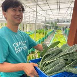 Singapour : visite guidée à vélo des fermes et jardins urbains