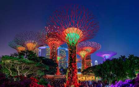 Singapour : croisière nocturne avec spectacles son et lumière