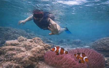 Au départ de Singapour : plongée en apnée et canoë privé sur l'île de Batam