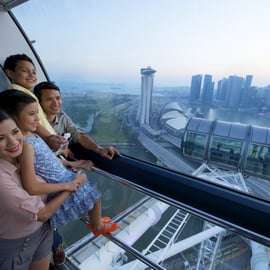 Singapour : billet d'entrée Singapore Flyer