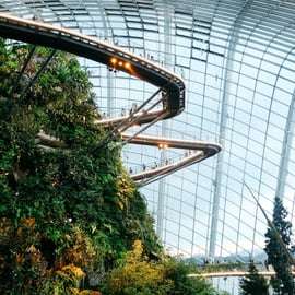 Billet d'entrée à Gardens by the Bay