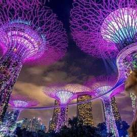 Spectra & Garden Rhapsody Shows avec la croisière sur le fleuve Singapour