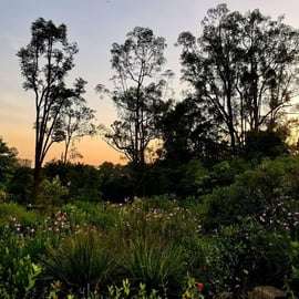 Visite à pied des jardins botaniques et de Tiong Bahru avec petit-déjeuner