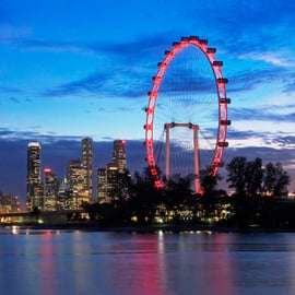 Singapour : billet d'entrée Singapore Flyer