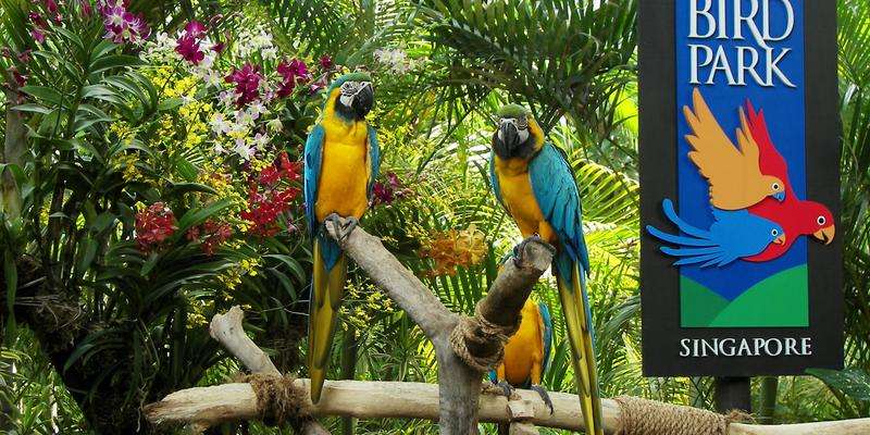 Jurong Bird Park