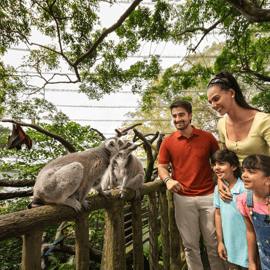 Zoo de Singapour : billet électronique d'entrée d'une journée avec trajet en tramway