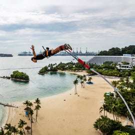 Singapour : billet d'entrée au Skypark Sentosa et activités en option