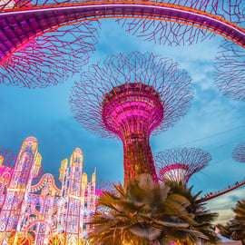 Singapour : billet d'entrée pour les Jardins de la Baie
