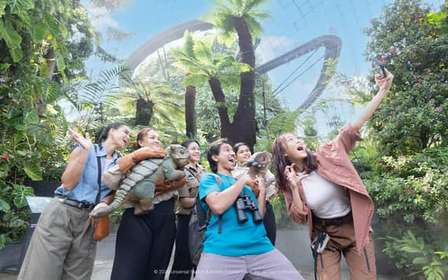 Billets d'entrée pour 2 dômes à Gardens by the Bay et transferts partagés