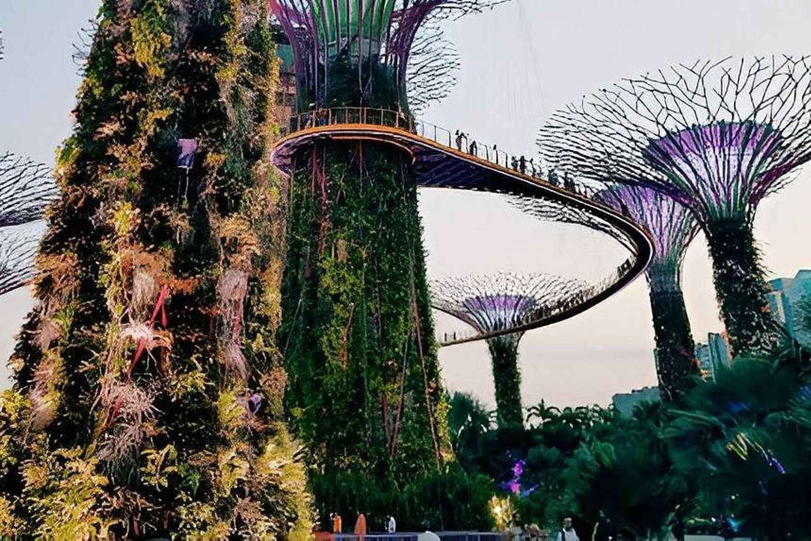 Gardens by the Bay : OCBC Skyway, Flower Dome et Cloud Forest
