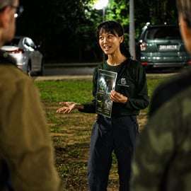Singapour : promenade nocturne dans la mangrove