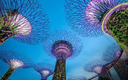 Promenade nocturne à Marina Bay avec les spectacles Spectra et Rhapsody