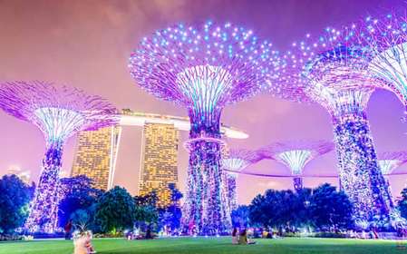 Croisière sur la rivière Singapour, Garden Rhapsody nocturne et spectacle Spectra