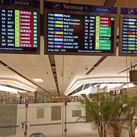 Singapour : Transfert aéroport/port avec accueil à l'arrivée.