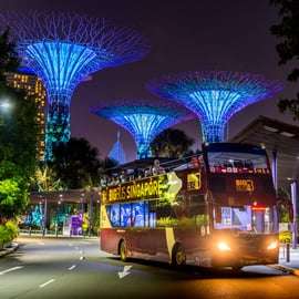 Singapour : visite nocturne en bus avec guide en chair et en os