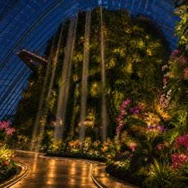 Visite de nuit des Jardins de la Baie avec les dômes et le spectacle Garden Rhapsody