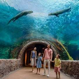 Destination Pass 1 jour de 2 attractions à Mandai : billets uniquement