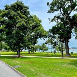 Singapour : balade panoramique à vélo avec coucher de soleil et repas