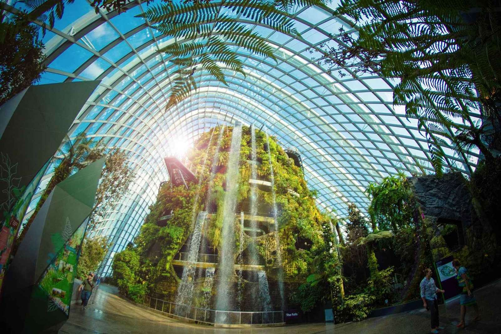 Singapour : billet d'entrée pour les Jardins de la Baie
