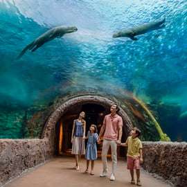Singapour : billet d'entrée pour River Wonders