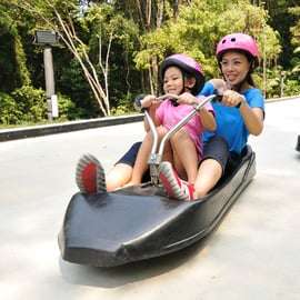 Singapour : Billets Skyline Luge Sentosa