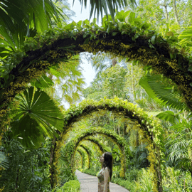 Billet pour le jardin des orchidées de Singapour : Pass UNESCO Heritage