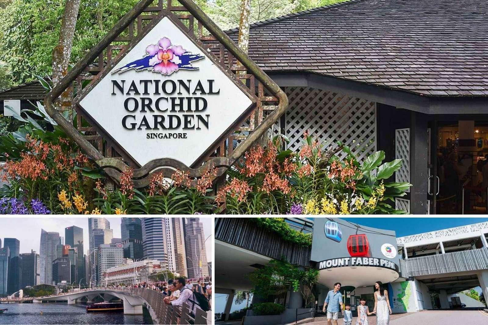 Visite guidée d'une demi-journée avec le Jardin national des orchidées