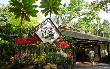 Singapour : Billets d'entrée au National Orchid Garden